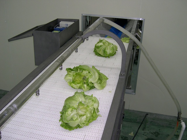 網(wǎng)帶輸送機